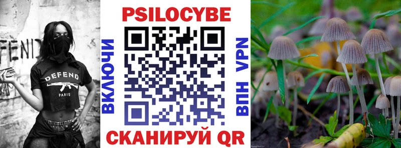 купить наркотики цена  Железногорск-Илимский  Галлюциногенные грибы GOLDEN TEACHER 